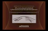 Performance of a musculoskeletal ultrasound examination