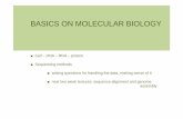 BASICS ON MOLECULAR BIOLOGY