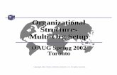 Organizational Structures of a Multi-Org Setup