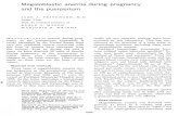 Megaloblastic anemia during pregnancy and the puerperium