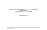 Domestic Agricultural Supports in Key Developing Countries ...
