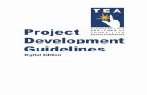 TEA Project Development Guidelines