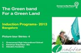The Green Band For A Green Land - Schneider Electric
