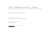 THE TRAVELLER'S TREE