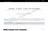 Wing Loads Calculation