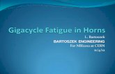 Gigacycle Fatigue in Horns