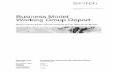 Business Model Working Group Report