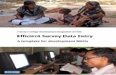 Efficient Survey Data Entry. A template for development NGOs