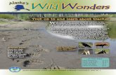 Alaska's Wild Wonders Issue 2 - Tracks
