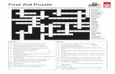 First aid puzzle (.pdf)