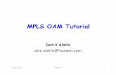 MPLS OAM tutorial final