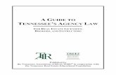 A GUIDE TO TENNESSEE'S AGENCY LAW