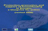 Protection, promotion and support of breastfeeding in Europe: a ...