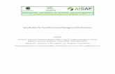 Specification for Rural Road Asset Management Performance
