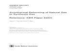 Autothermal Reforming of Natural Gas to Synthesis Gas Reference ...