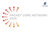 Packet Core Network 2015