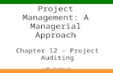 12 - Project Auditing