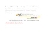NPPES 2.5.3 Electronic File Interchange (EFI) User Manual