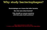 Why study bacteriophage?