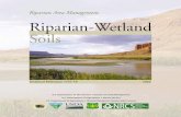 Riparian Area Management Riparian-Wetland Soils