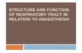 structure and function of respiratory tract in relation to anaesthesia