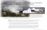 Control of Hydrothermal Fluids by Natural Fractures at Norris Geyser ...