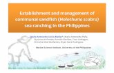 sea ranching in the Philippines