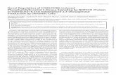 Novel Regulation of CD80/CD86-induced Phosphatidylinositol 3 ...