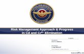 Risk Management Approach & Progress in Cd and Cr6+ Elimination