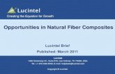Opportunities In Natural Fiber Composites - Lucintel