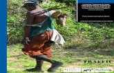 Illegal hunting and the bushmeat trade in Central Mozambique (PDF ...