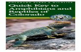 Quick Key to Amphibians and Reptiles of Colorado
