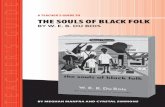 A Teacher's Guide to The Souls of Black Folk