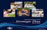 DCSS Strategic Plan 2015-2019