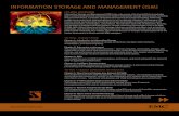 INFORMATION STORAGE AND MANAGEMENT (ISM)