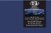 Florida Utility Industry