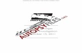 Autopsyfiles.org - Dan Wheldon Crash/Accident Investigation Report