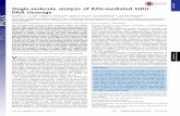 Single-molecule analysis of RAG-mediated V(D)J DNA cleavage