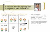 Common Otolaryngological Congenital Abnormalities Viet Pham ...