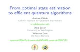 From optimal state estimation to efficient quantum algorithms