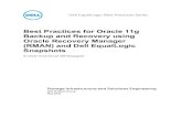 Best Practices for Oracle 11g Backup and Recovery using Oracle ...