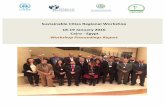 Sustainable Cities Regional Workshop Meeting Report_January 2016
