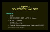 Chapter 2: SONET/SDH and GFP
