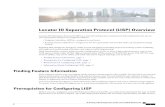Locator ID Separation Protocol (LISP) Overview