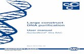 Large construct DNA purification
