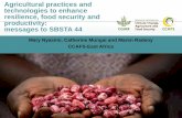 Agricultural practices and technologies to enhance resilience, food security and productivity: Messages to SBSTA 44