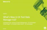 What's New in CA Test Data Manager 4.0?