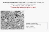The endo-lysosomal system