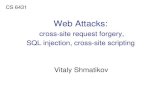 Top Web Vulnerabilities