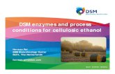 DSM enzymes and process conditions for cellulosic ethanol